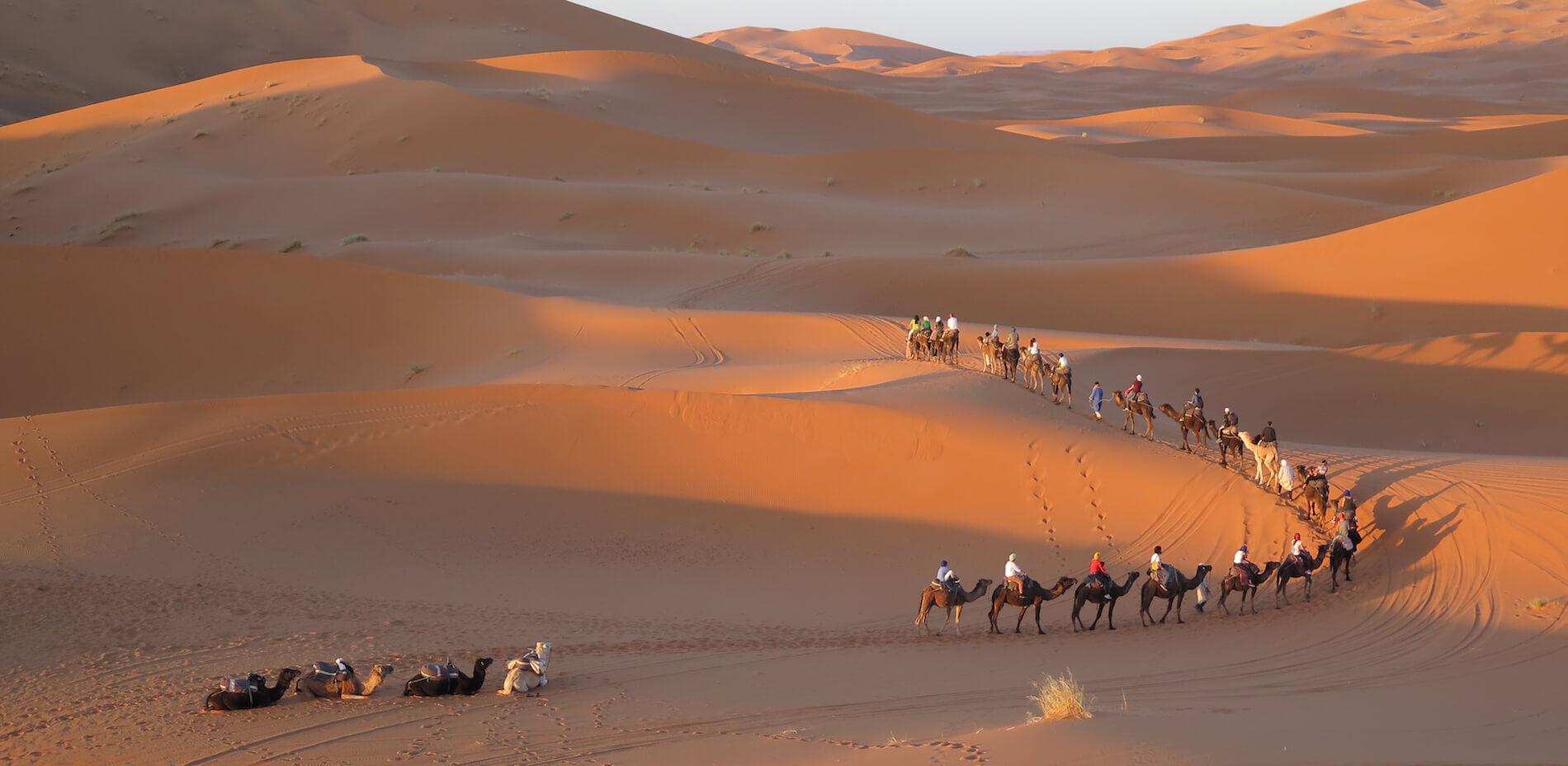 Circuits Excursions Activités dans le sud du Maroc