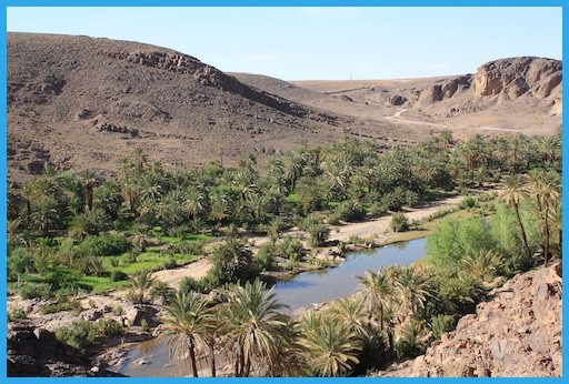 Oasis de Fint