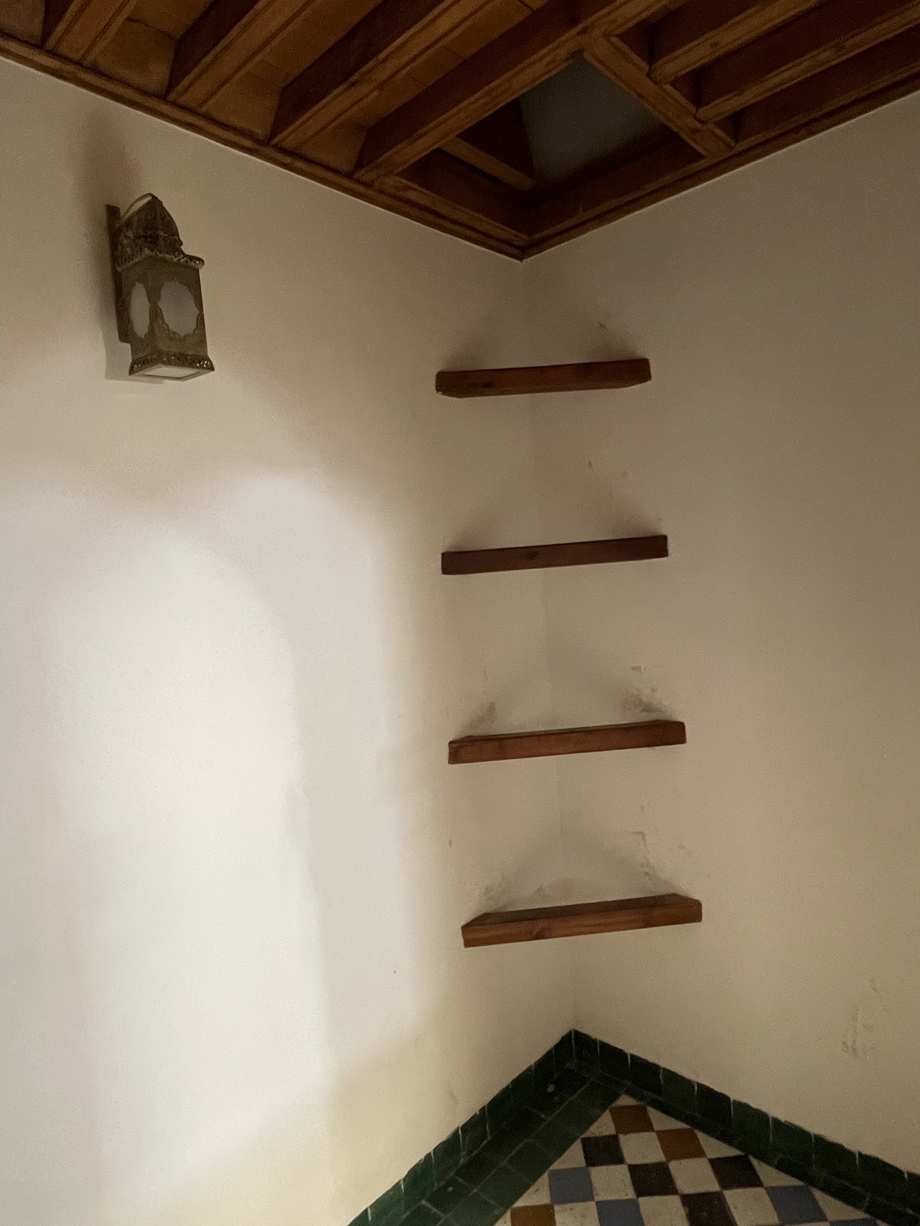 Img 1159